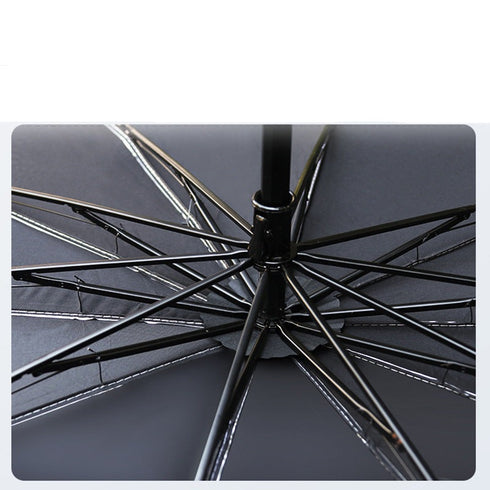 مظلة داخلية للسيارة